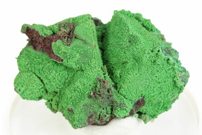 Vibrant Green Conichalcite Formation - Namibia #244367